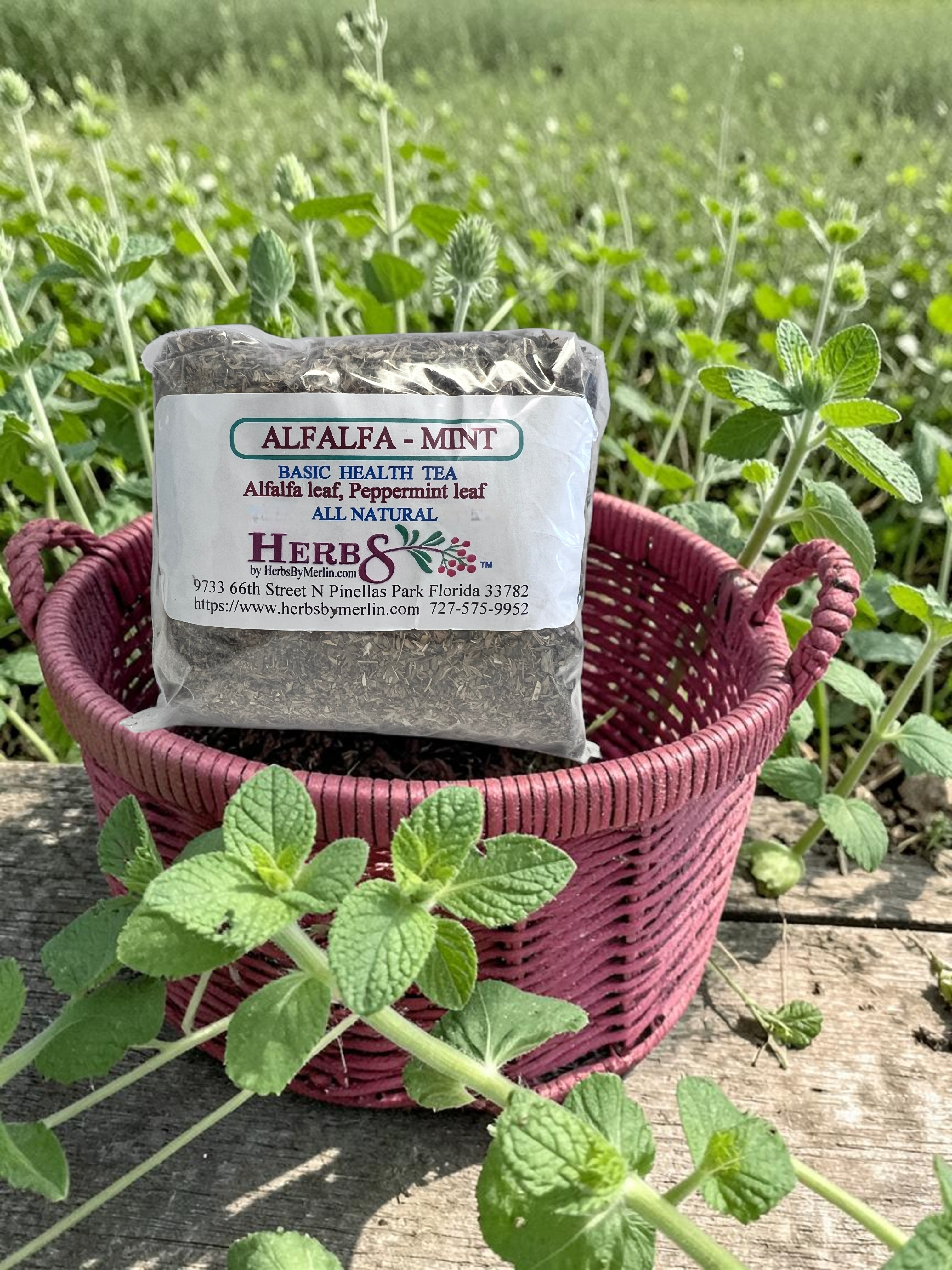 Alfalfa Mint Tea
